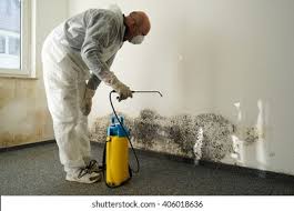 Best Mold Removal for HVAC Installations in USA